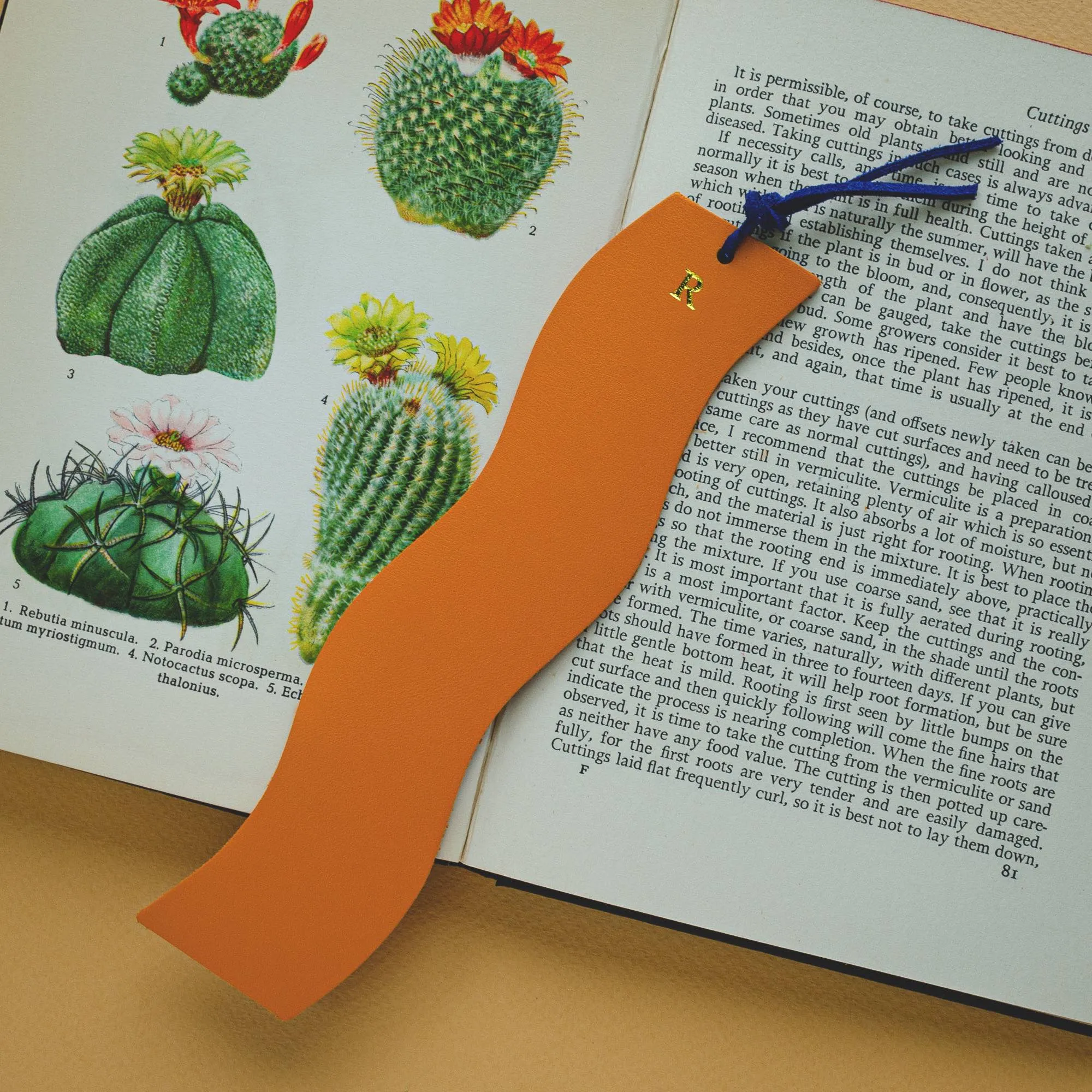 Wavy Leather Bookmarks